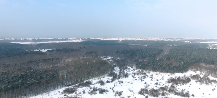 Duinen van Castricum bedekt met sneeuw