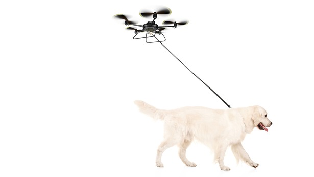 Drones Honden uitlaat service