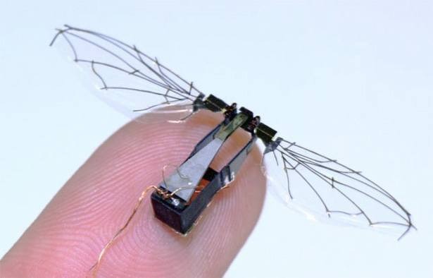 robobees-harvard-drones-microdrone-nasa-bijen-nar-mannetjesbij-bestuiven-bloemen-vinger